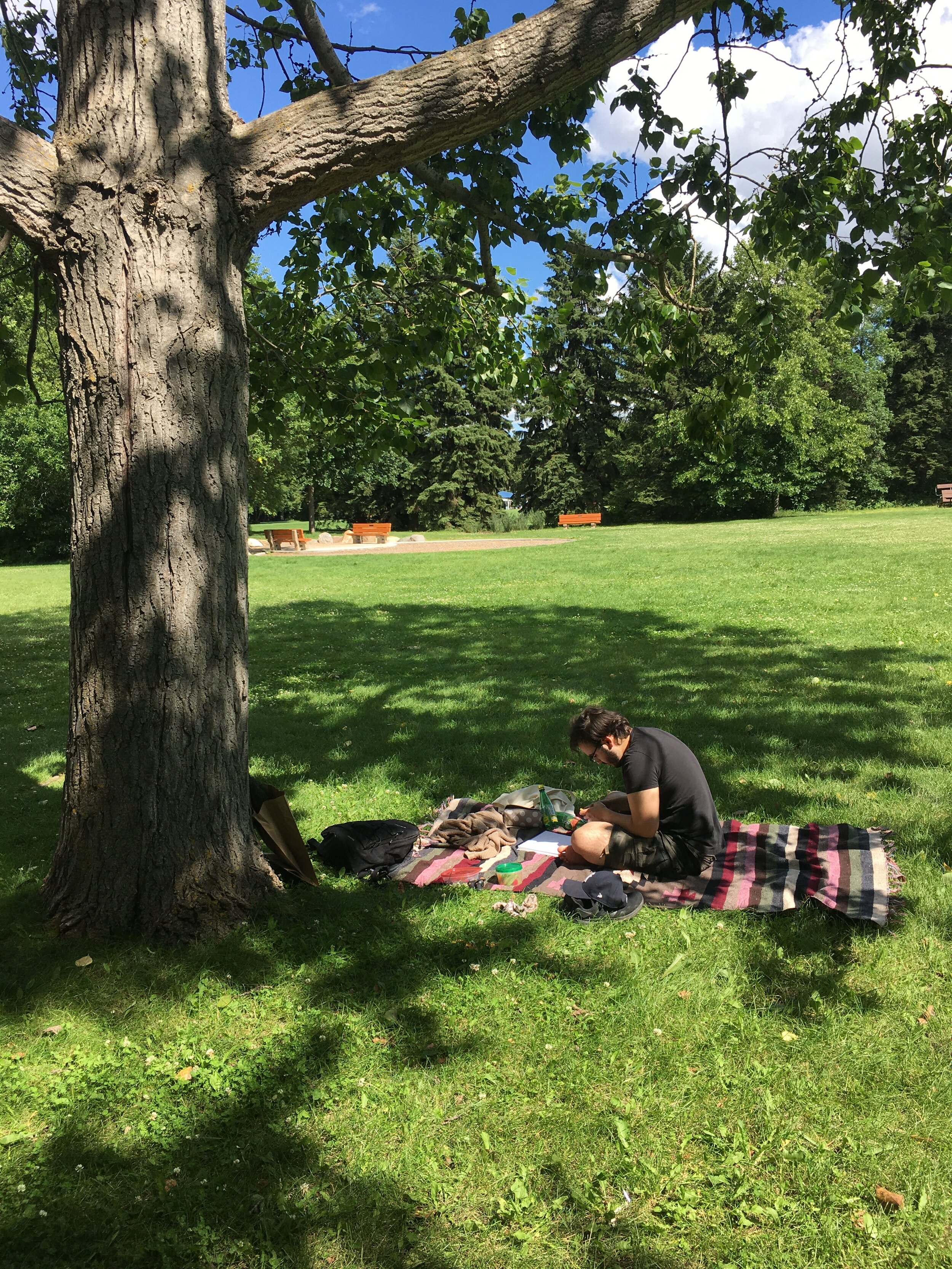 from a picnic with my partner last summerimage description: male presenting person looking at his lap while sitting on a colourful blanket beneath the shade of a tree.